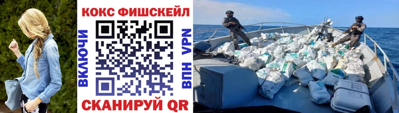 КОКАИН Fish Scale  Купить закладки  Называевск 