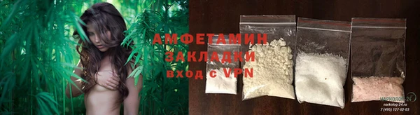 мдпв Ладушкин