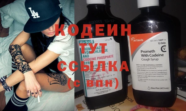 мдпв Ладушкин
