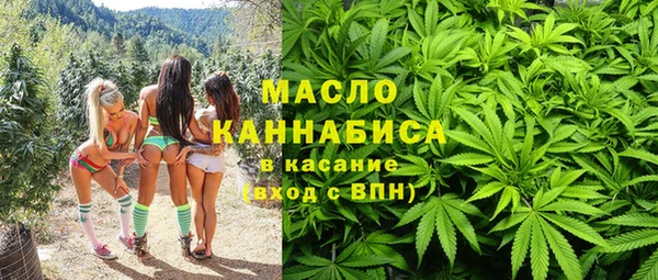 мдпв Ладушкин