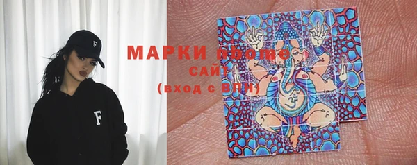 мдпв Ладушкин