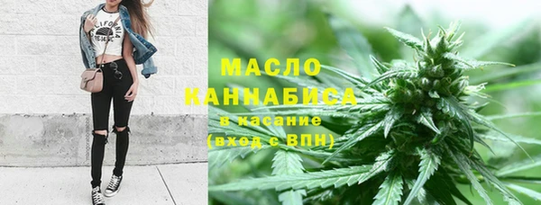 мдпв Ладушкин
